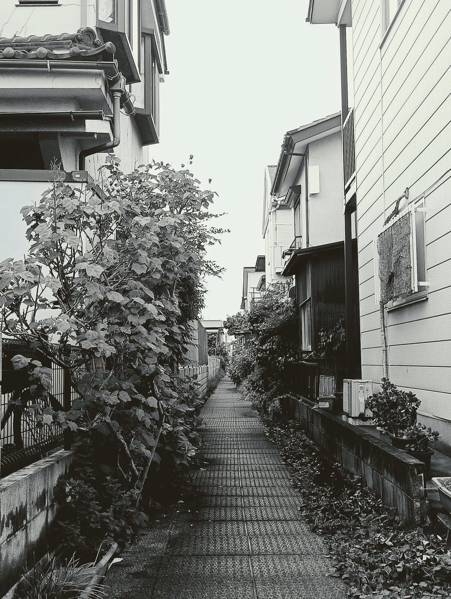 koichiro_studio's tweet image. 「小道」
 #photograph #photo #picture #art #芸術