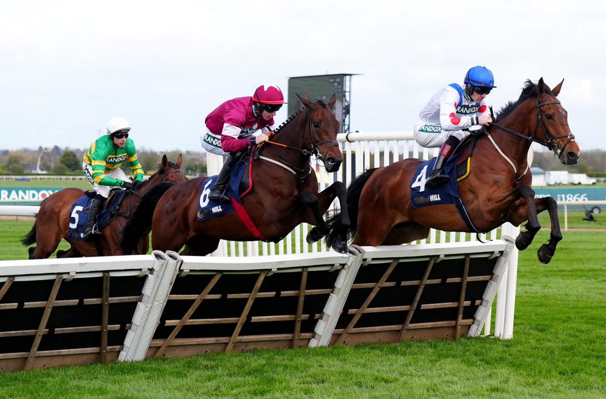 Cheltenham Tips tweet media