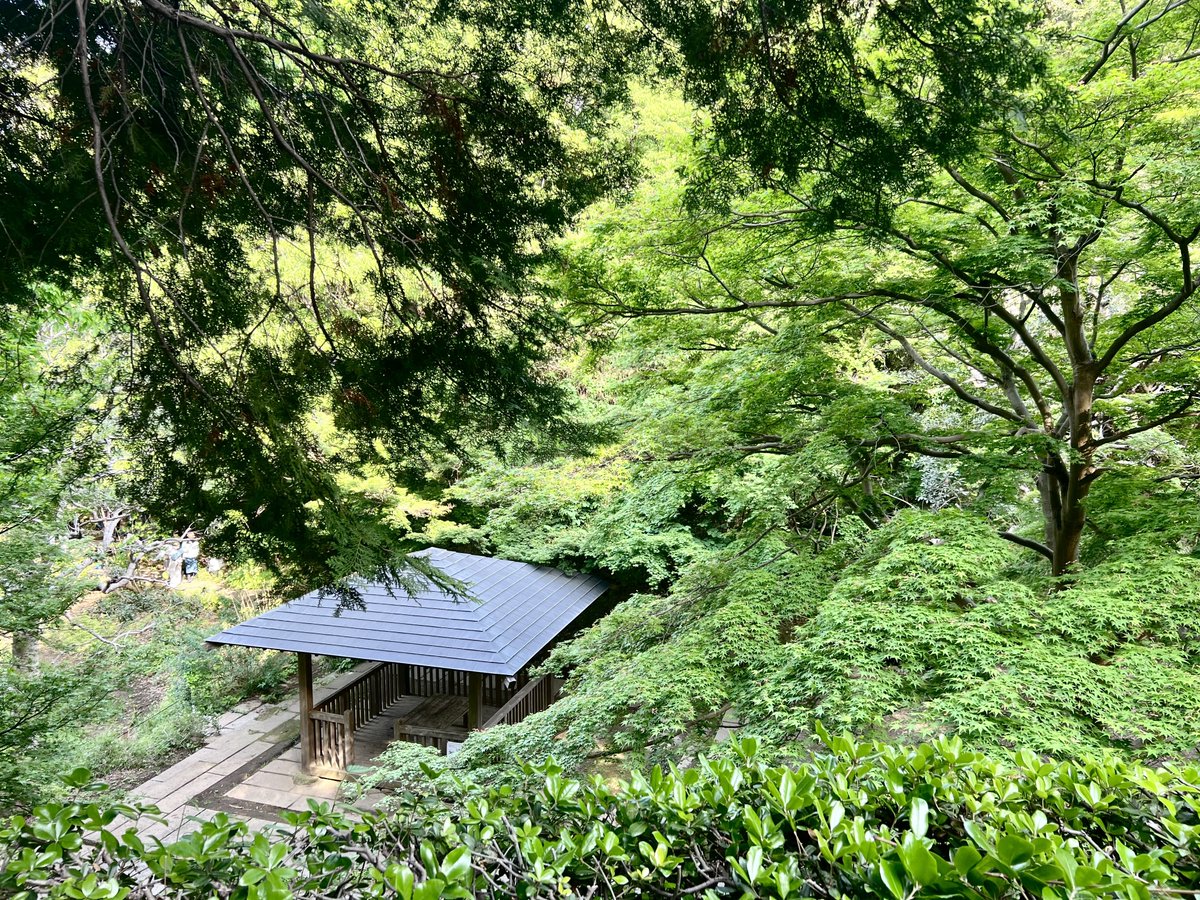 わたなべゆっぽこ🐰ﾃｨｱ156え36a tweet media