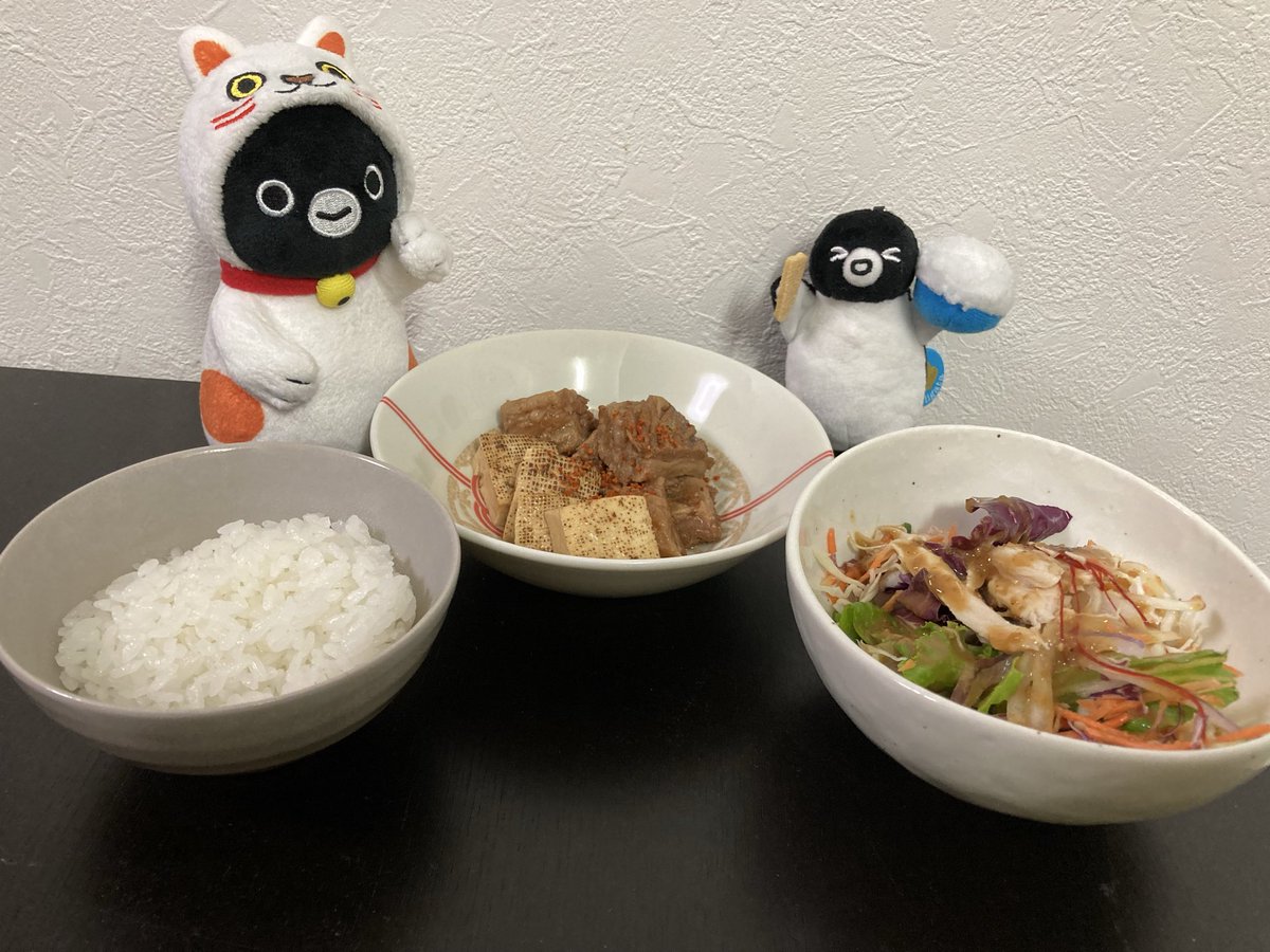 おこめちゃんとニャーさんから今日の晩ごはん🍚紹介🐧

牛すじの肉豆腐と棒棒鶏サラダに白ごはん

肉豆腐に小葱を忘れるという痛恨のミス💧
とはいえ昨日からコトコト煮込んでトロトロの牛すじ、白ごはんがよく進みました。

おこめちゃん：やっぱり白ごはん🍚美味しく食べられるメニュー最高だね!
