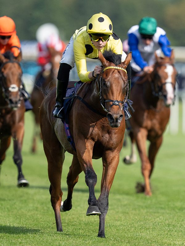 Racing Post tweet media