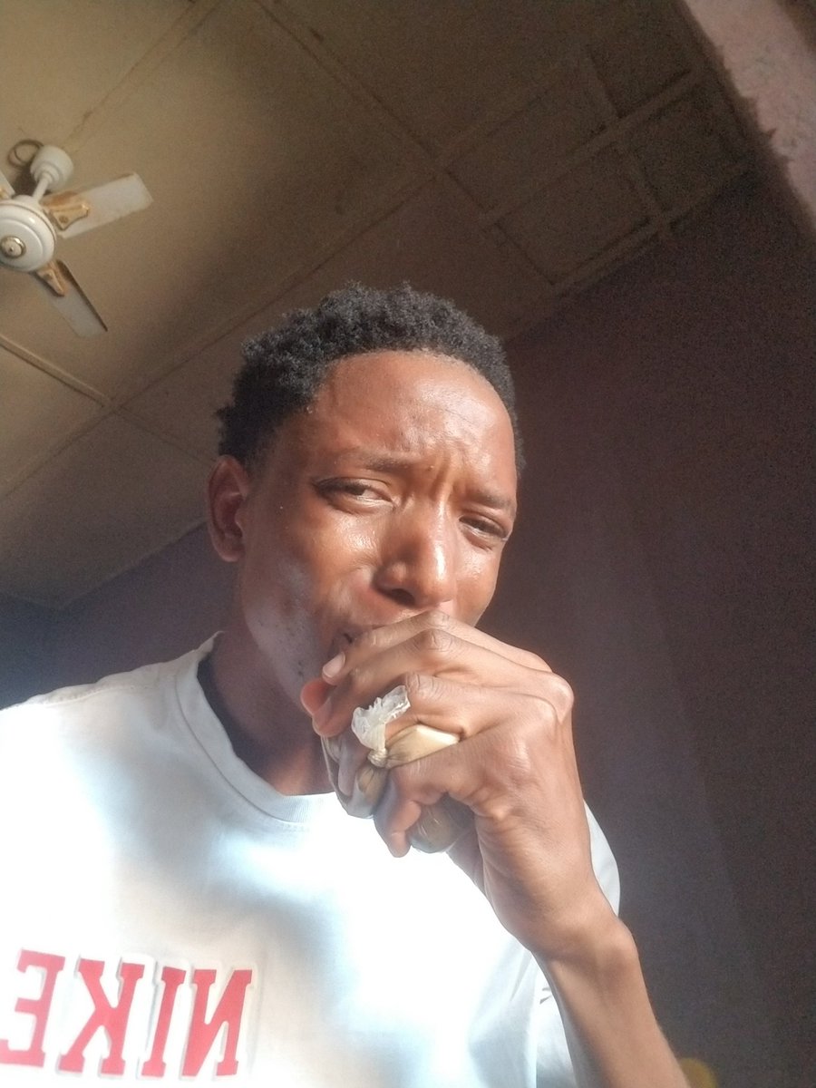 HolyGhostpikin tweet media