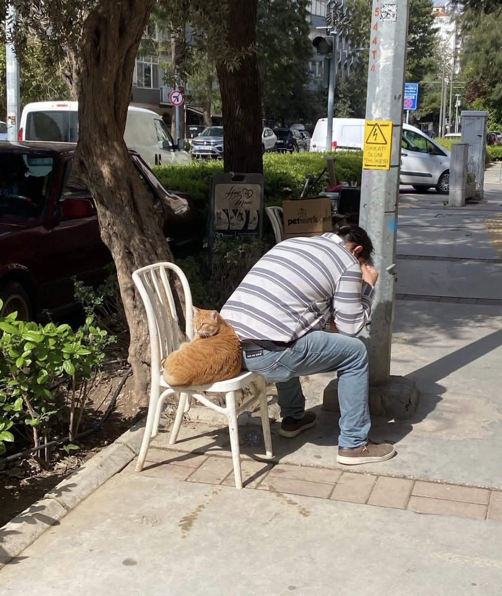 Dr. med. Levin Kaan B. 🩺🩺.....MD tweet media