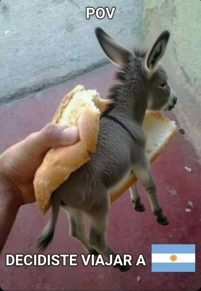 ❖ 𝘎𝘶𝘪𝘯𝘦𝘷𝘳𝘢 ❖ tweet media