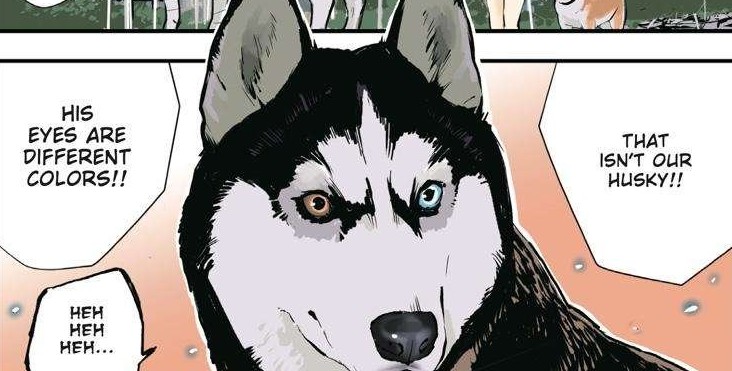 Evildeadfan102's tweet image. I read Doomsday With My Dog Chapter 40.
#Doomsdaywithmydog #chapter40 #manga