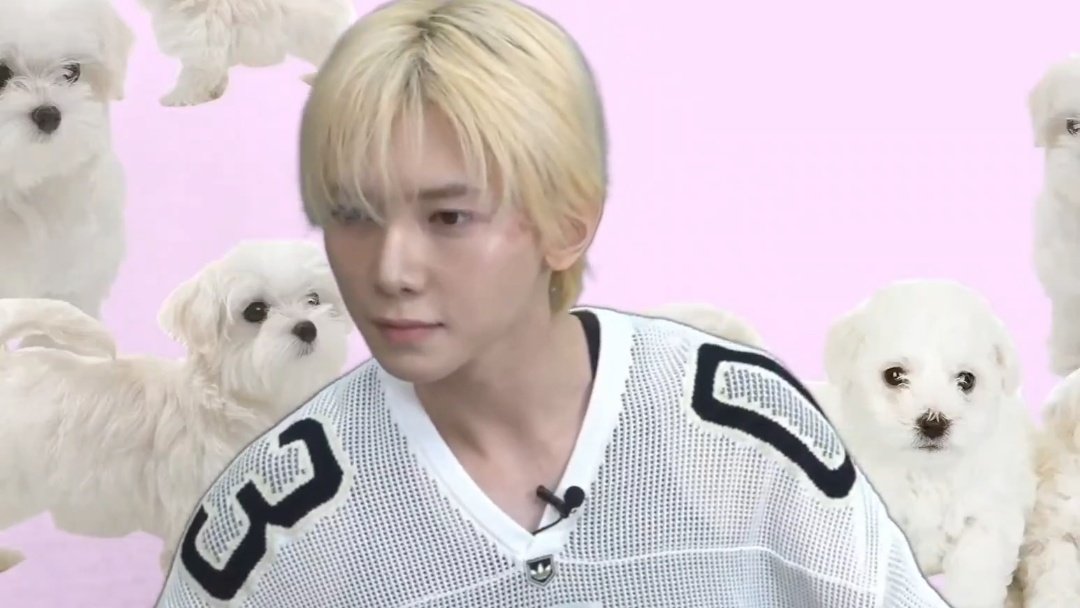 yeosang is live barefaced and with a maltese background 

YEOSANG GAME LIVE 
#LetsPlayWithYeosang