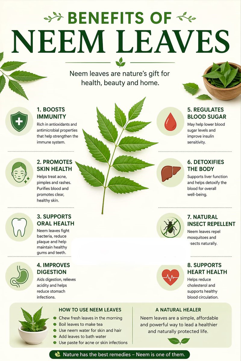 Neem leaves are nature's gift for health, beauty, and home.