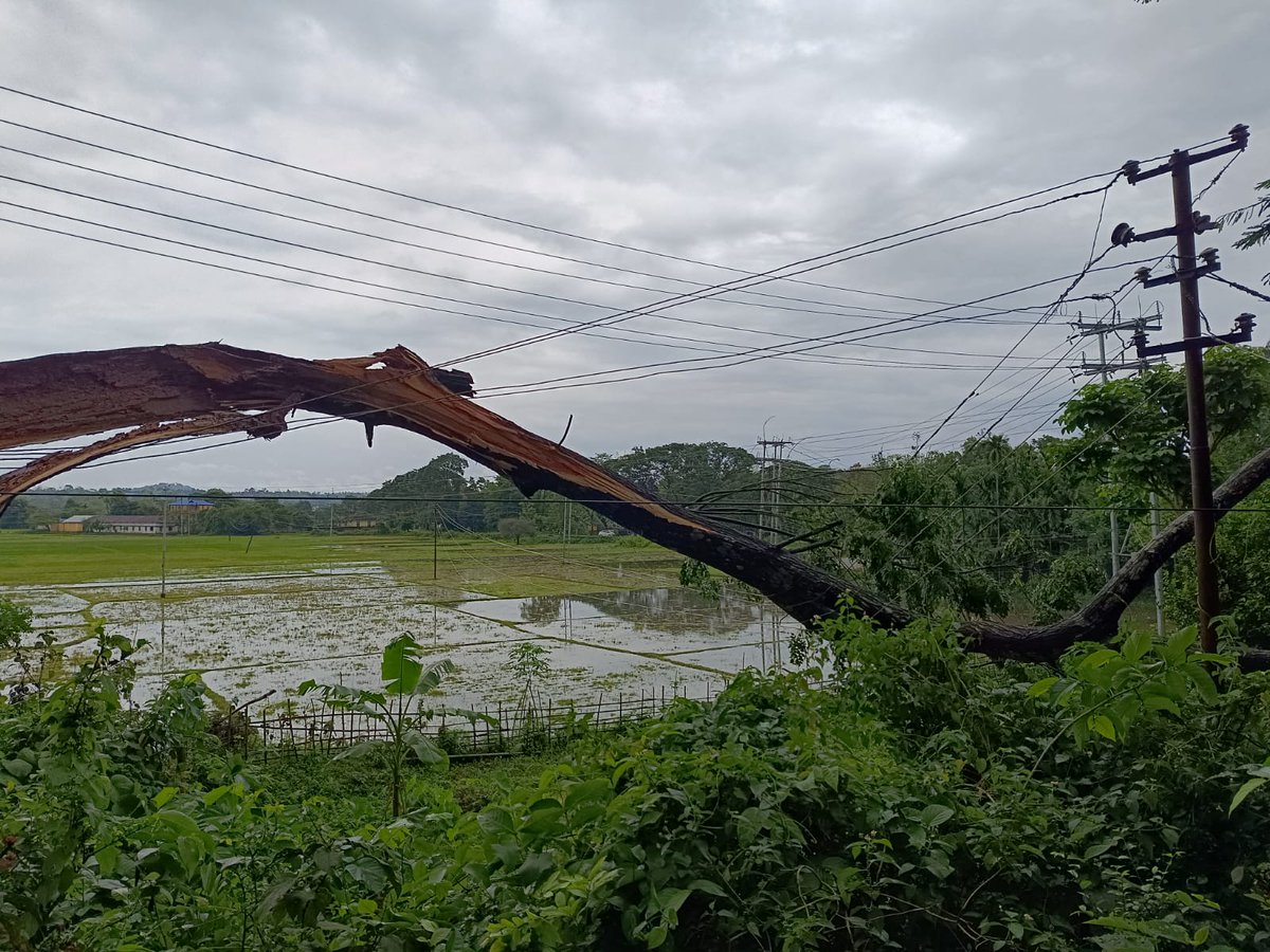 NELiveTV's tweet image. Thunderstorm Batters South West Garo Hills, Several Homes Damaged

#Meghalaya #WestGaroHills #northeastlive #Thunderstorm #northeast