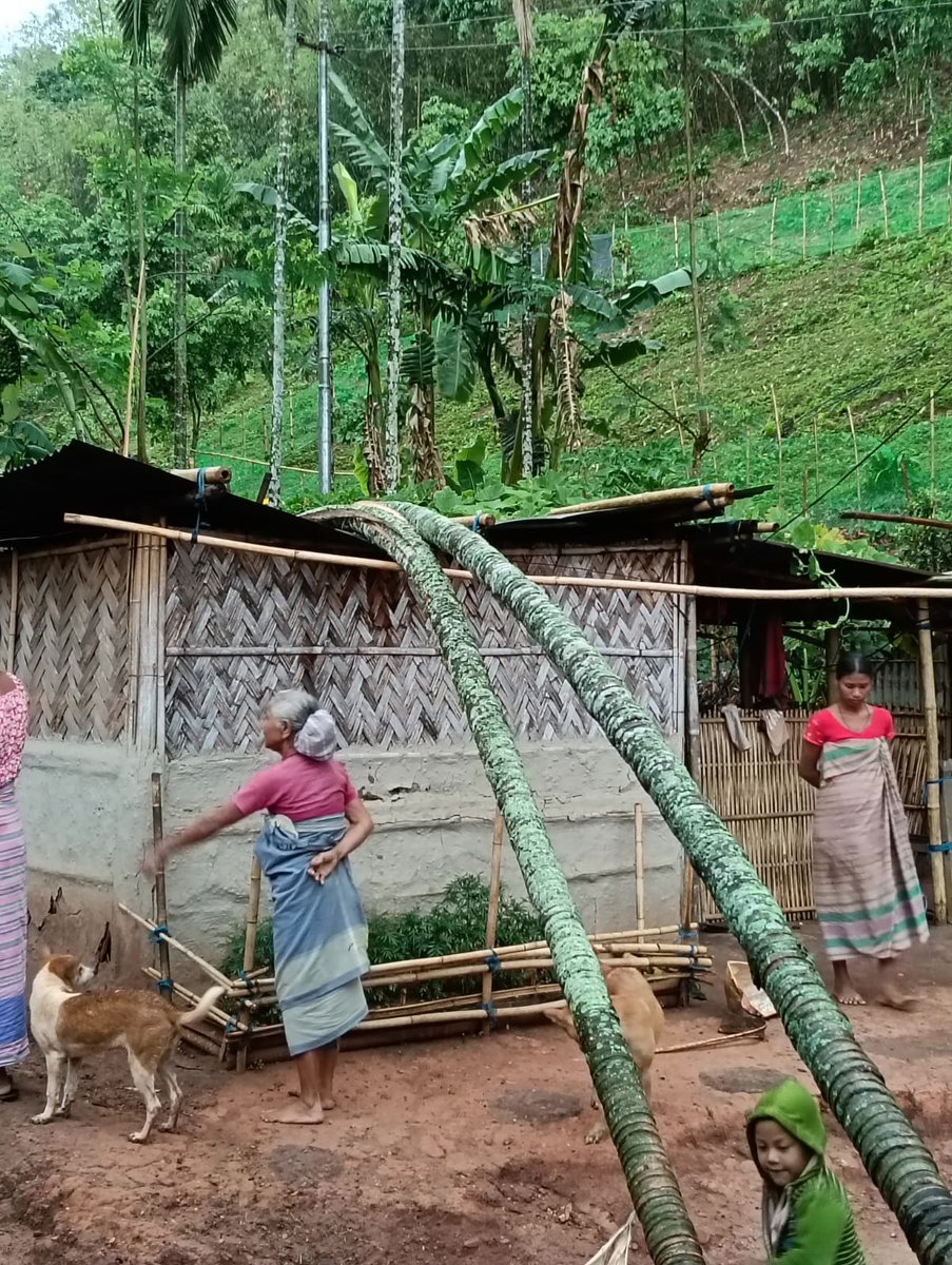NELiveTV's tweet image. Thunderstorm Batters South West Garo Hills, Several Homes Damaged

#Meghalaya #WestGaroHills #northeastlive #Thunderstorm #northeast