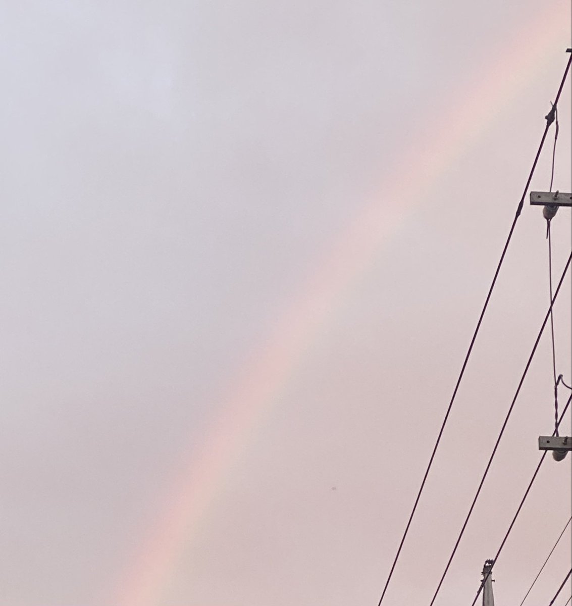 🌸ひな🌸 tweet media