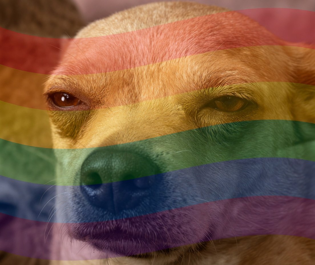 matt ade tweet media