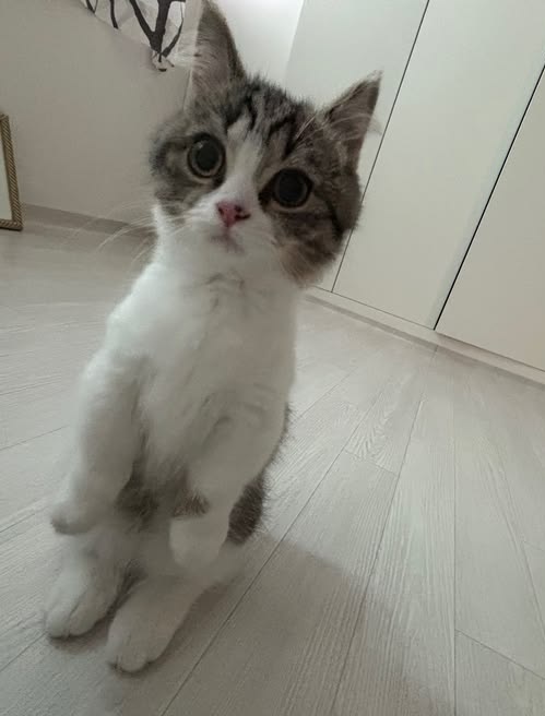 ren 🐻‍❄️ tweet media