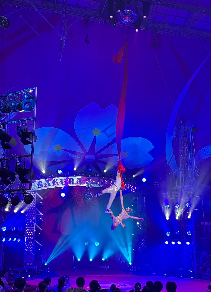 ゆかりゃ🌸 tweet media