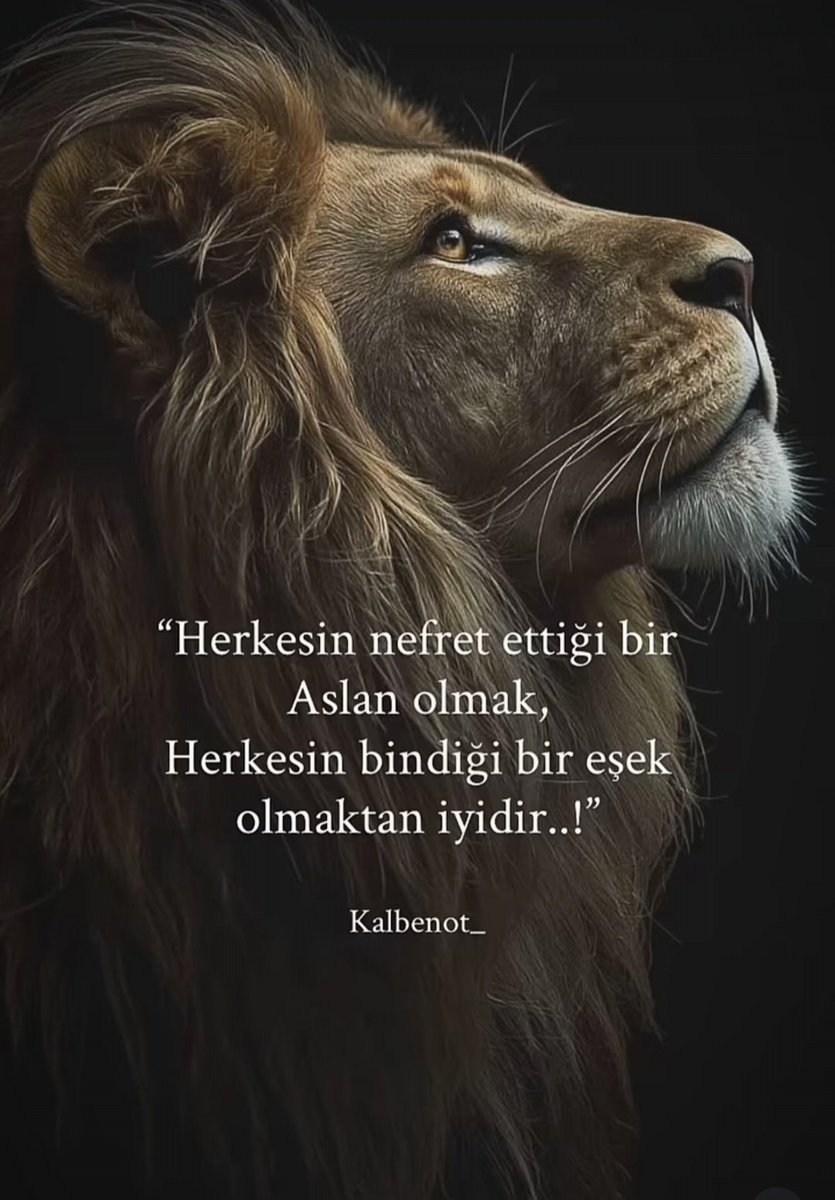 Sessiz Güç tweet media