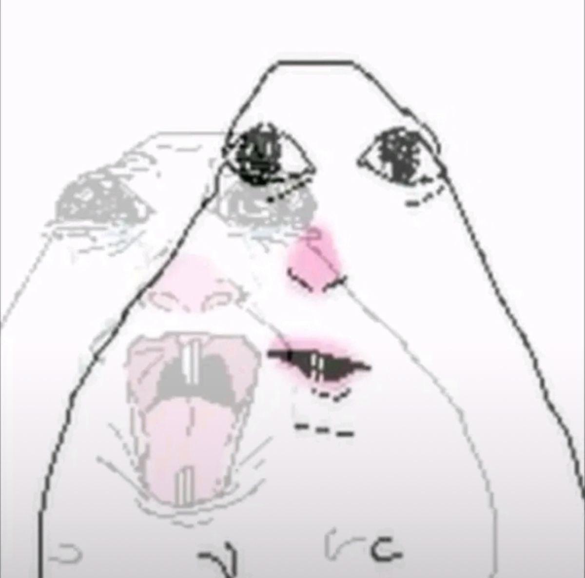 kai / sua tweet media