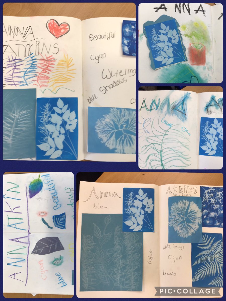 Year3H_Hollin tweet media