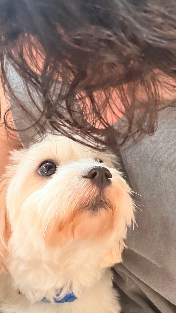 Filmfare tweet media