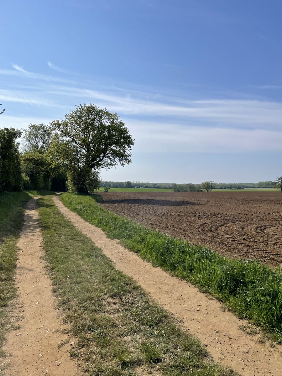 NormanHighnam's tweet image. #Norfolk at its finest…