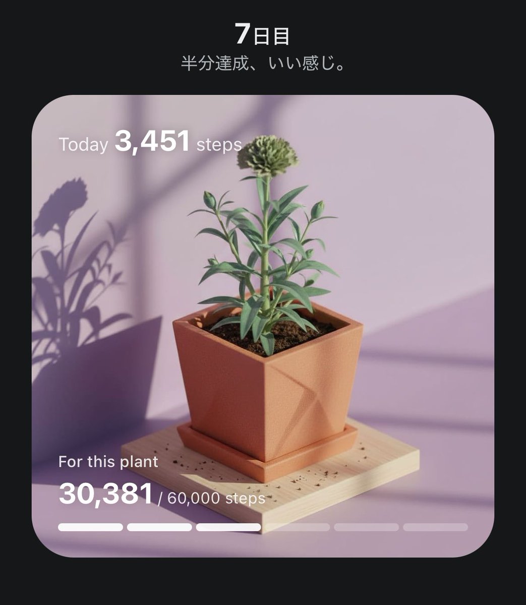 アカミの日常 tweet media