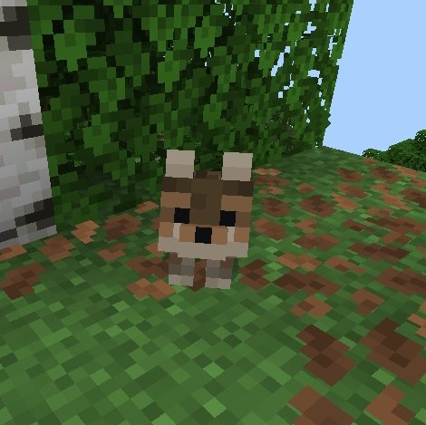 don't touch me tweet media