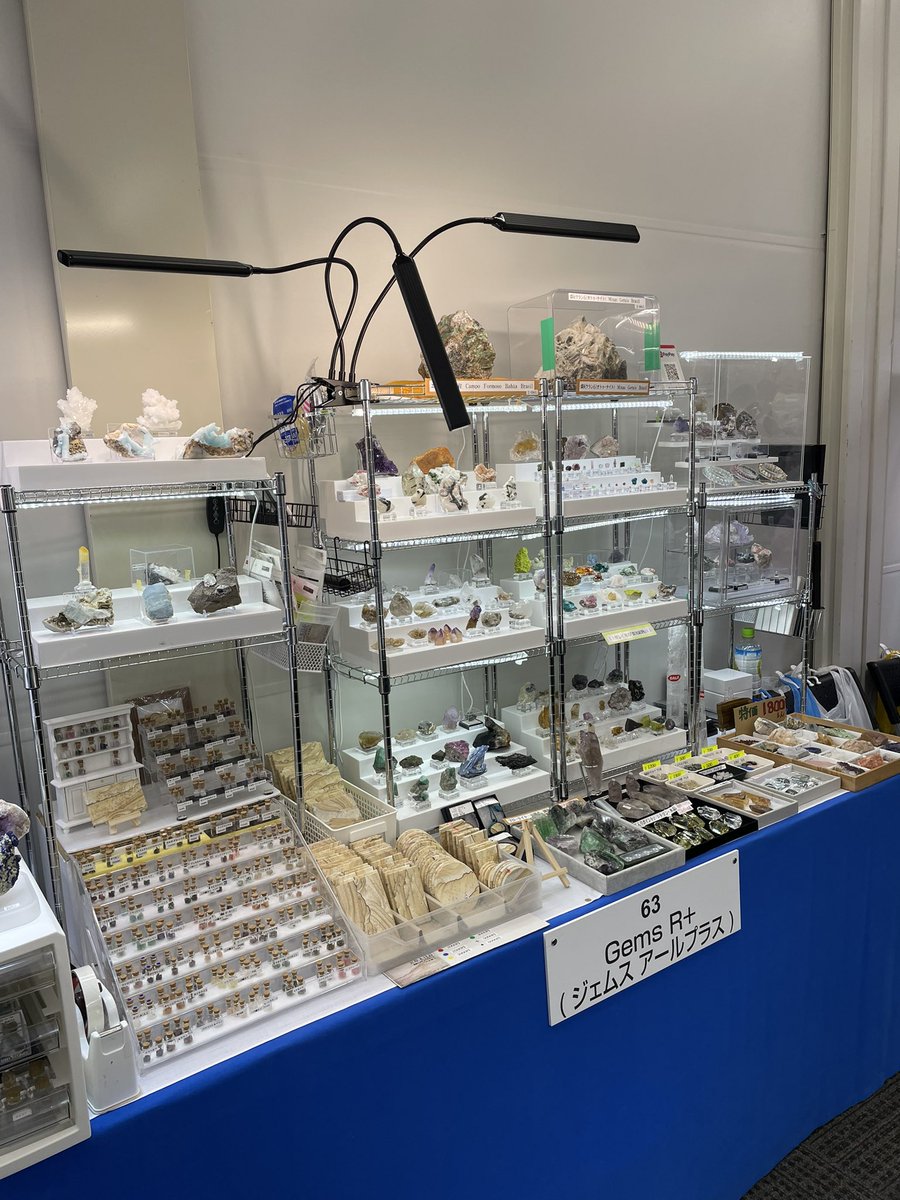 Gems R+/ジェムス アールプラス tweet media