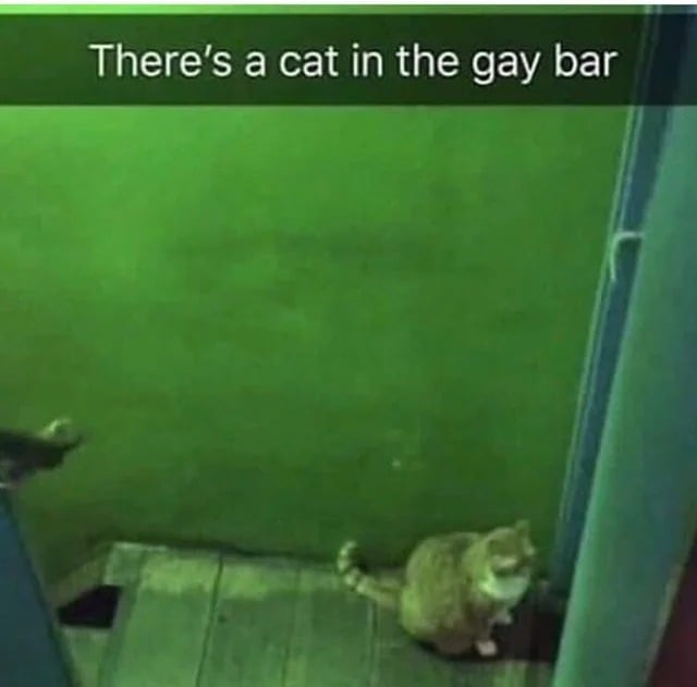 niko 🍀.⋆ #GLOW tweet media