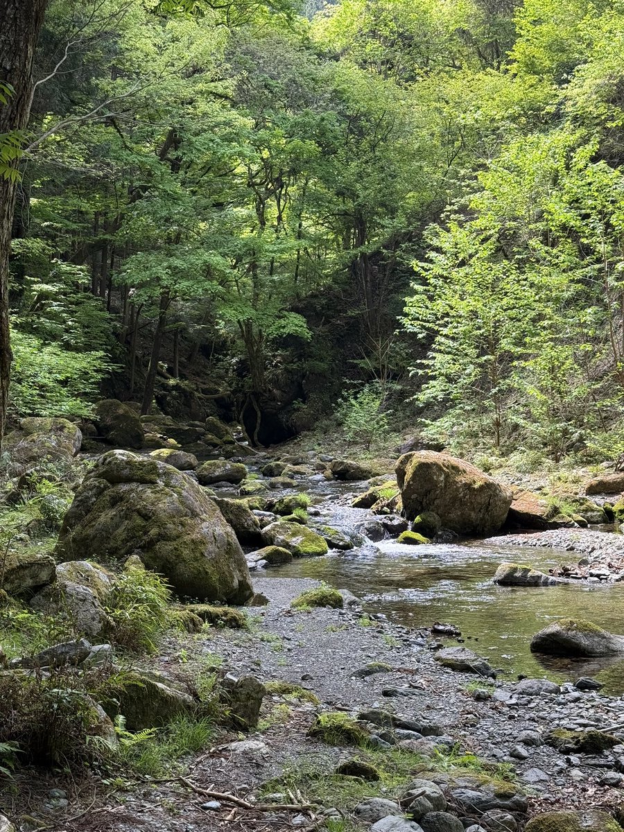 メン獄さん tweet media