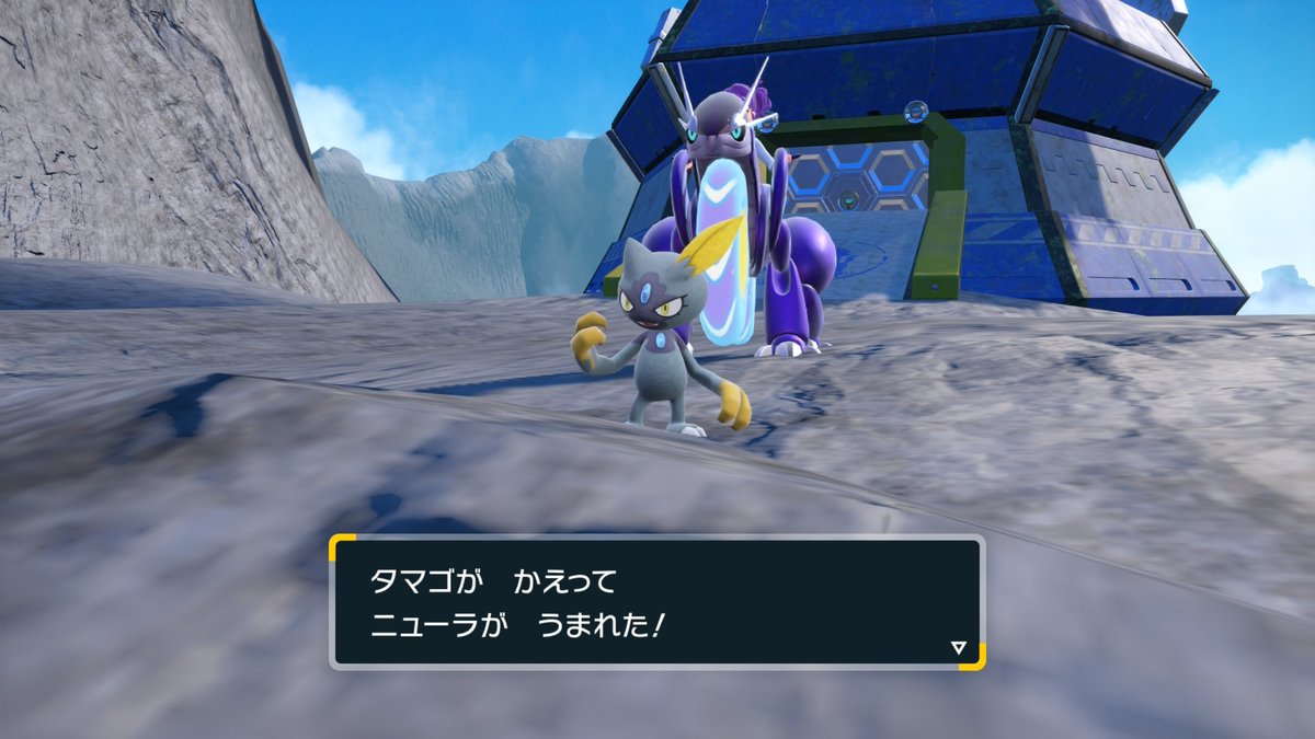 ばーらん tweet media