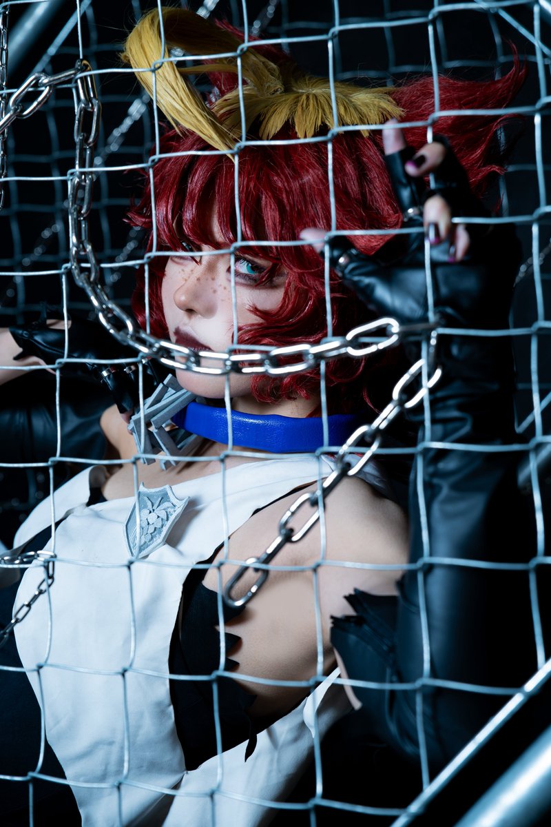 海豚🐬 tweet media