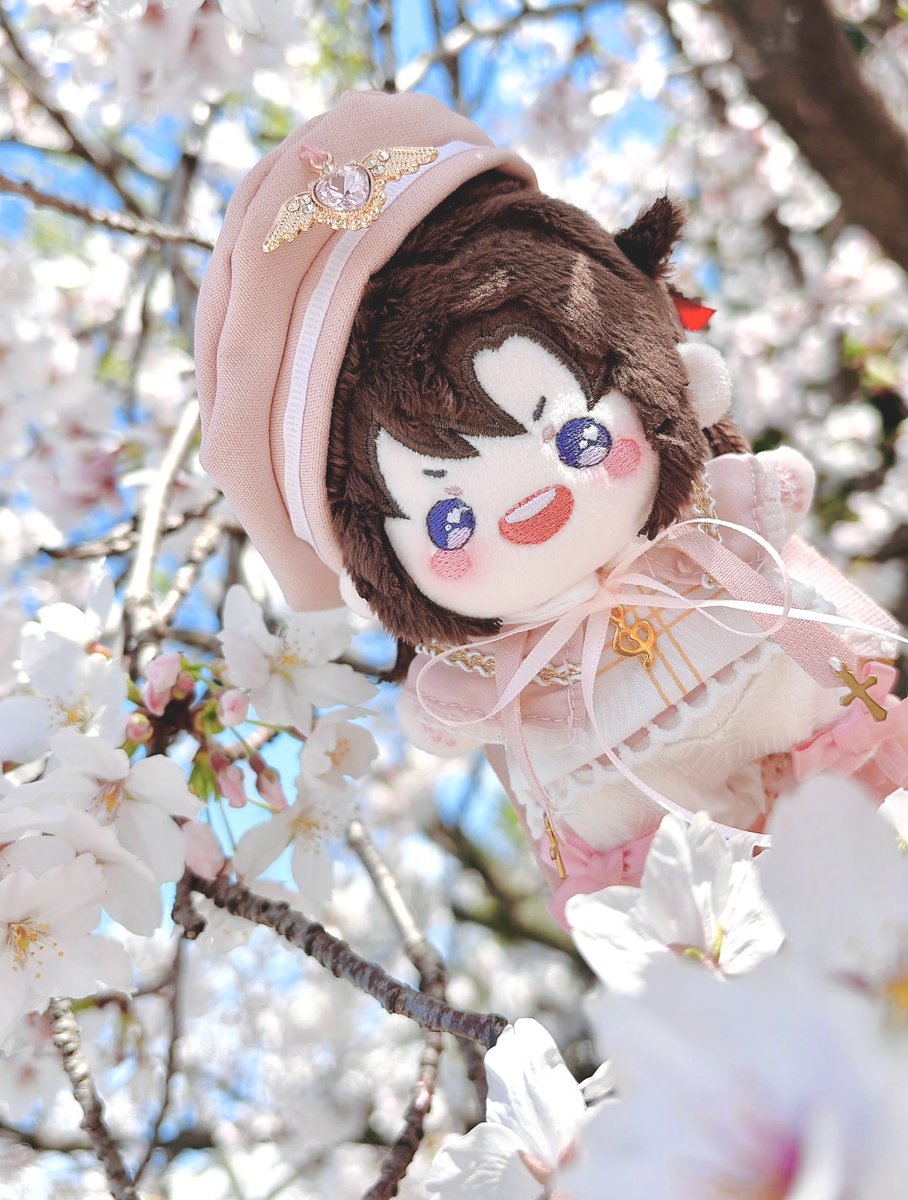 mayu@🐉🦊 tweet media