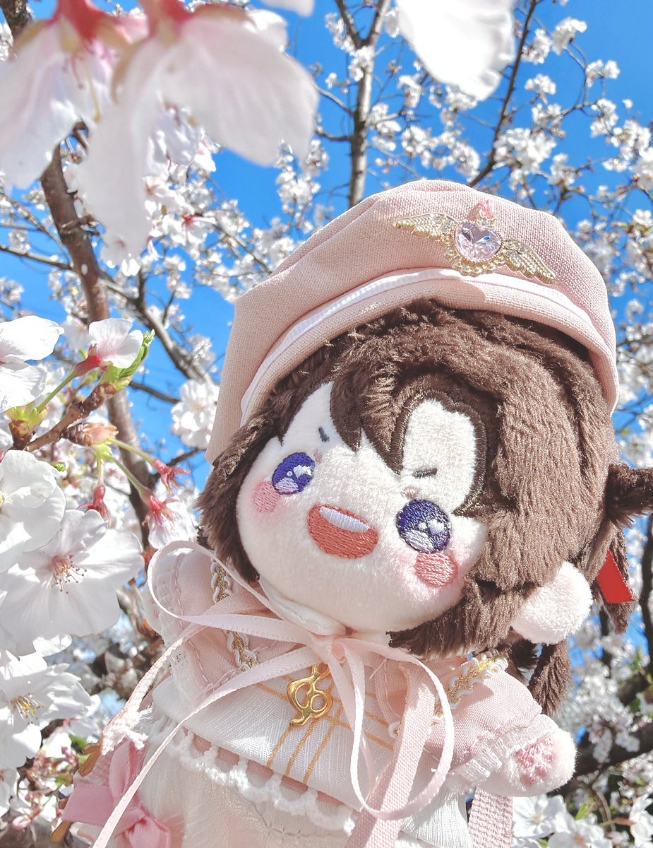 mayu@🐉🦊 tweet media