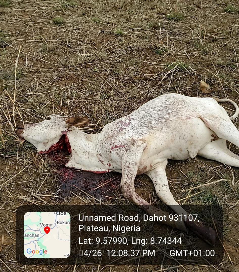 Babangida tweet media