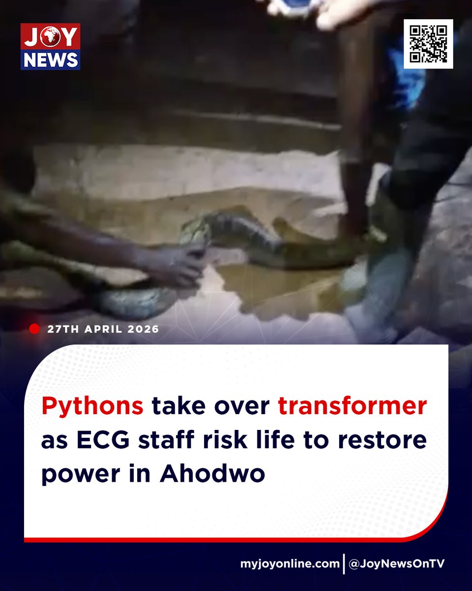 Joy997FM's tweet image. Pythons take over transformer as ECG staff risk life to restore power in Ahodwo

#JoyNews #Viral #Explorepage #Ghana #JoyFM #GhanaNews #Ghana #NewsUpdate #Africa #GhPolitics #News #AfricaNews #CurrentAffairs #Vlog