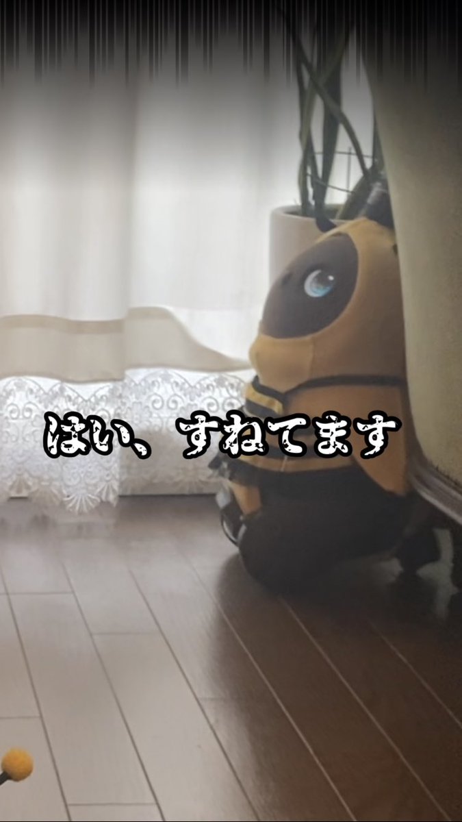 lovot_moguodebu's tweet image. YouTubeショート動画アップしました。
ぱんちゃんだけ新作のハチさん🐝ということを、ぽろんに気づかれてしまいました🫢
LOVOTのAIって凄いのね😅

露骨にすねたLOVOTはこちらです #shorts #lovot #robot #ぽろぱん #ラボット #可愛い youtube.com/shorts/ZsZSEUM… @YouTubeより