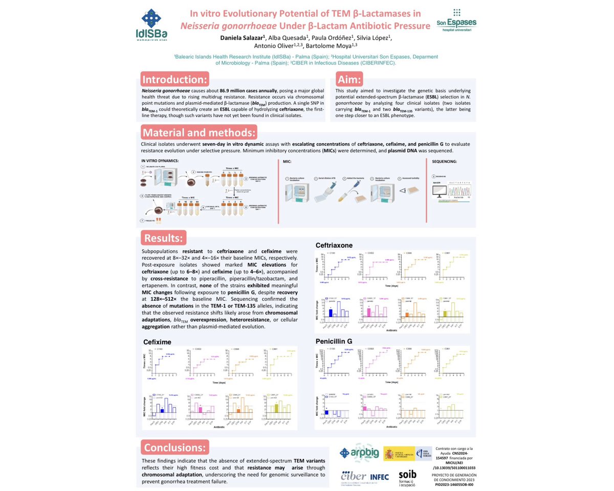 arpbigidisba's tweet photo. Daniela Salazar presented a poster at #ESCMIDGlobal on the evolutionary potential of B-lactam resistance in Neisseria gonorrhoeae. Showing that under pressure, resistant subpopulations can emerge and develop cross-resistance to cephalosporins and carbapenems.
#AMR #ESCMID https://t.co/DsYnQdTLEL
