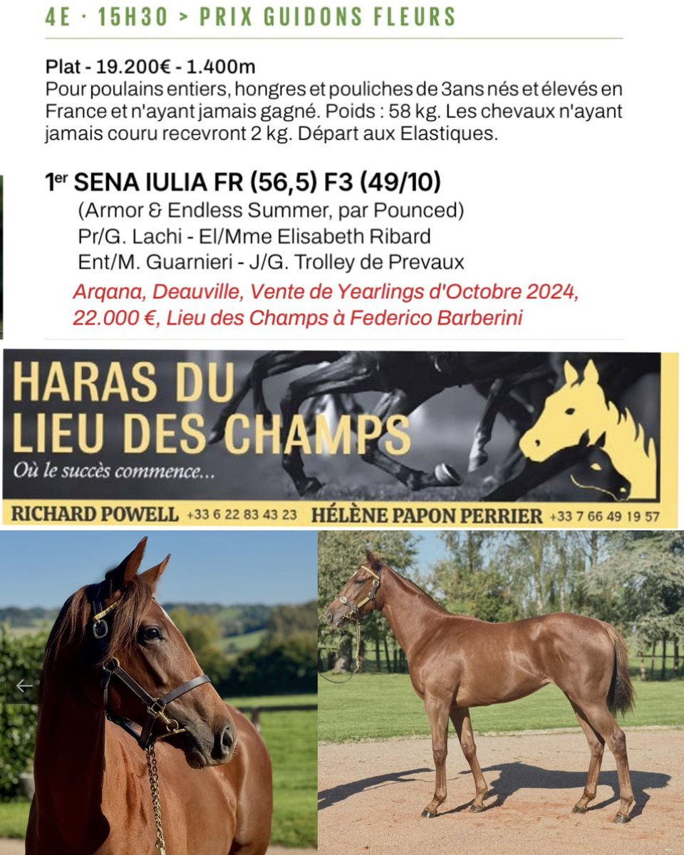 haras du Lieu des Champs tweet media