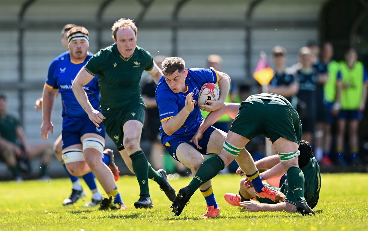 Leinster Domestic tweet media
