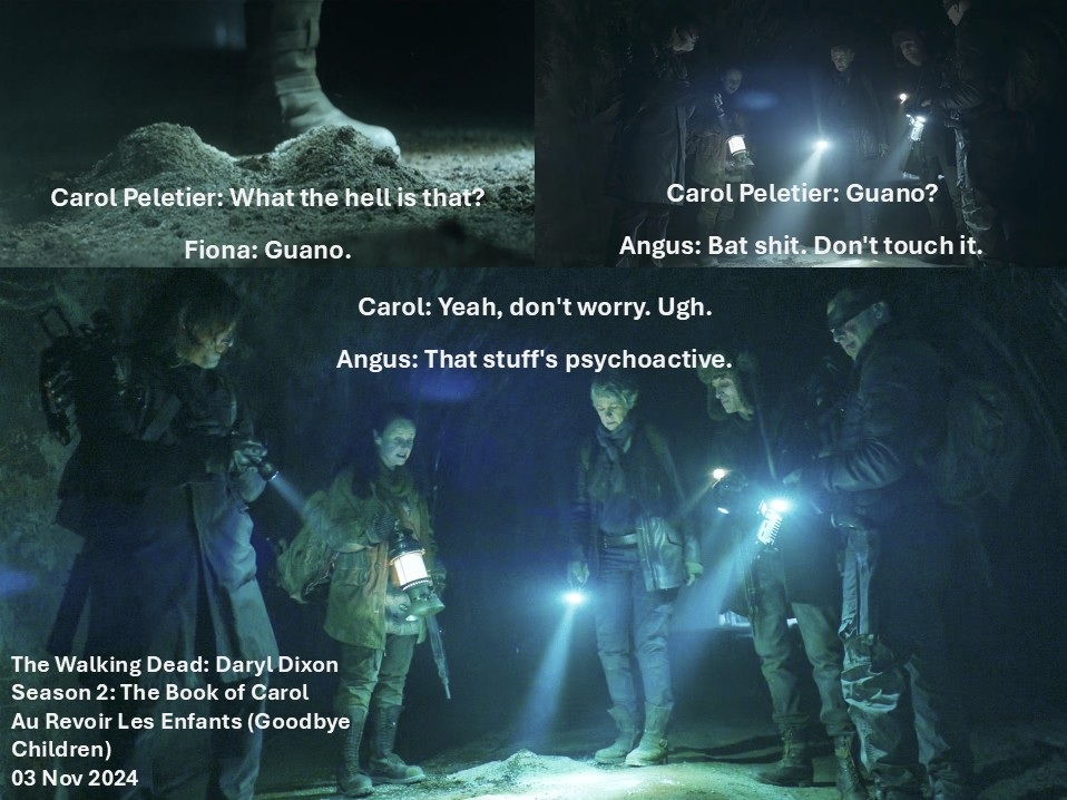DoctorDoubleTap's tweet image. Carol: What the hell is that?

Fiona: Guano.

Carol: Guano?

Angus: Bat shit. Don't touch it.

Carol: Yeah, don't worry. Ugh.

Angus: That stuff's psychoactive.

#TheWalkingDead: Daryl Dixon
Season 2: #BookOfCarol
Au Revoir Les Enfants (Goodbye Children)
03 Nov 2024
#TWD, #TWDU
