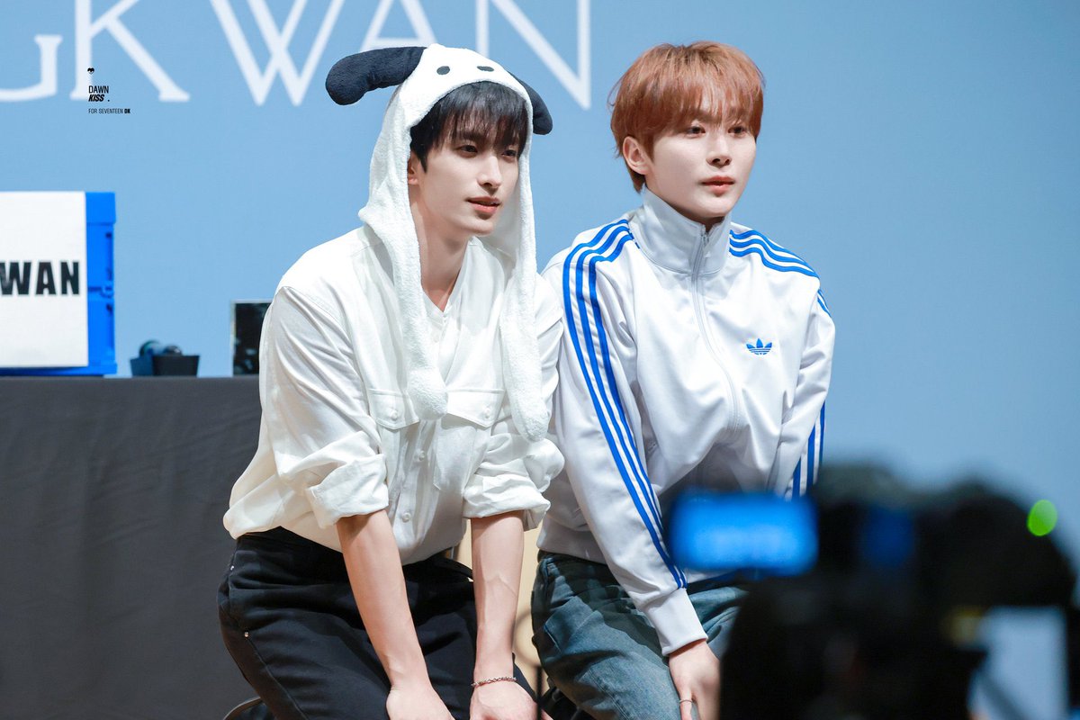 뿌냥이즈 tweet media