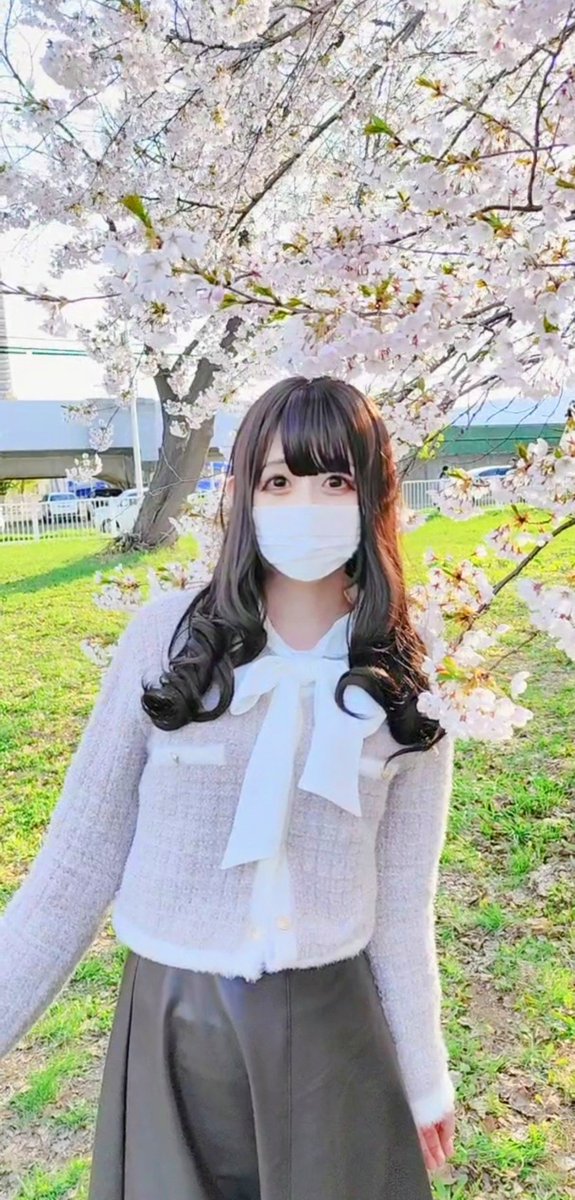matsumarun90's tweet photo. 札幌も桜がどこどこ咲いてきたのです https://t.co/b7fnwUbNHR