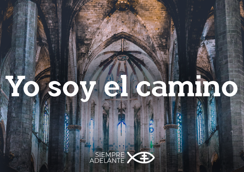 Archidiócesis de Sevilla tweet media