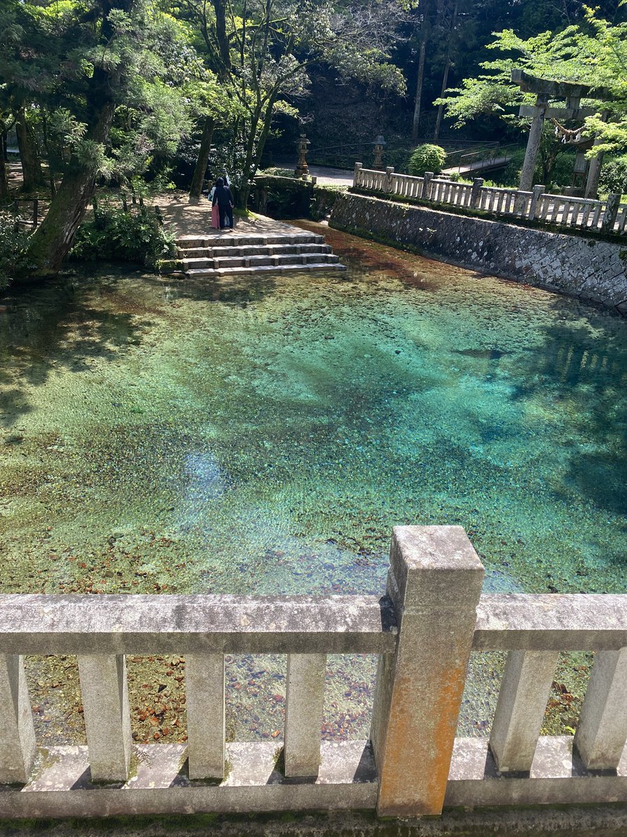 向日葵 🌻🫶 tweet media