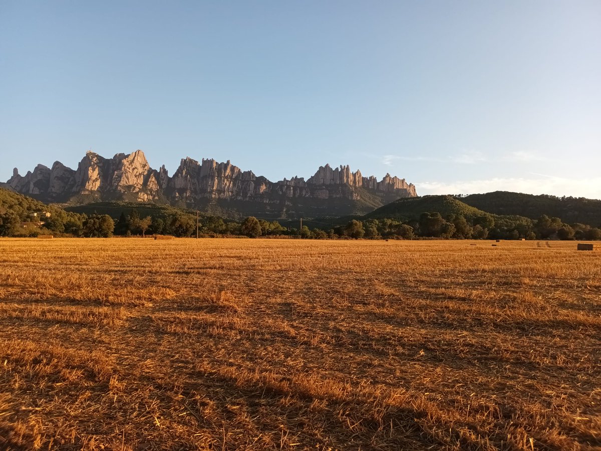 Avui, 27 d’abril, celebrem el dia de la Mare de Déu de Montserrat 🌿

Una data especial per al nostre territori i la seva identitat.
