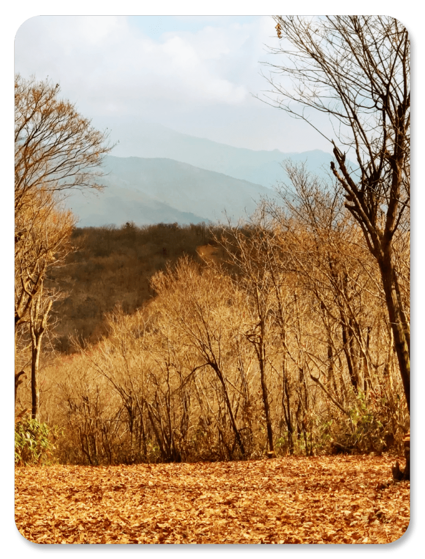 AxelleRolland1's tweet image. Just wrapped up a 3-day road trip through the Scottish Highlands!  Spotted a rainbow over Loch Ness, hiked 5 miles to a hidden waterfall, and sipped hot cocoa by a campfire. Best part No plan—just follow the road and wonder. #Wanderlust #HighlandsAdventure