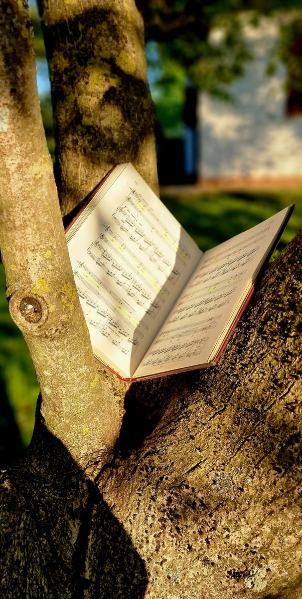 Daniela Barcellona tweet media