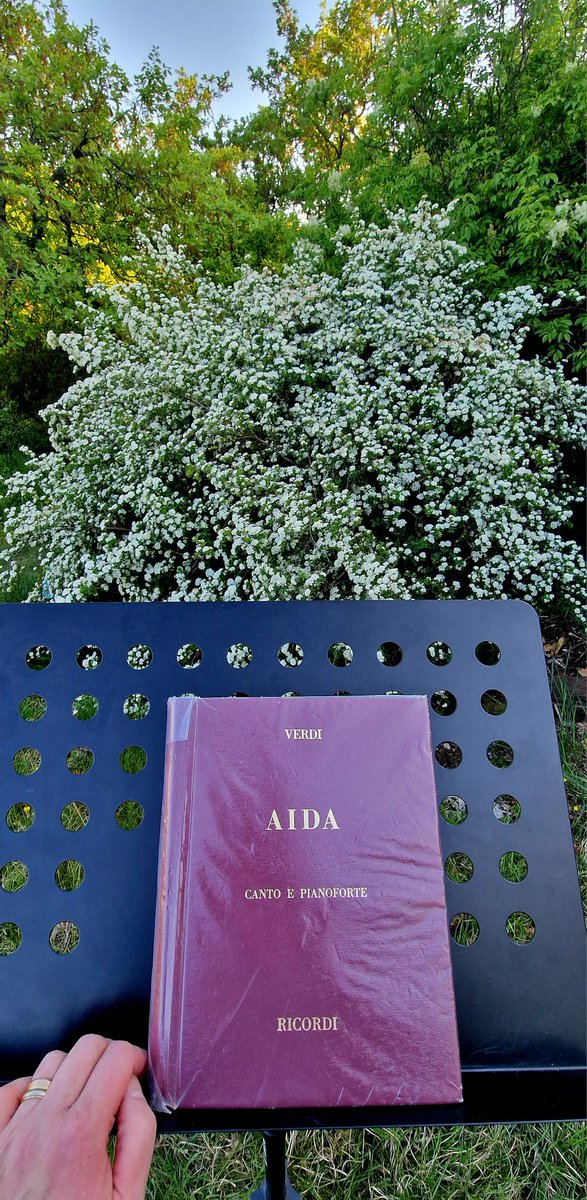 Daniela Barcellona tweet media