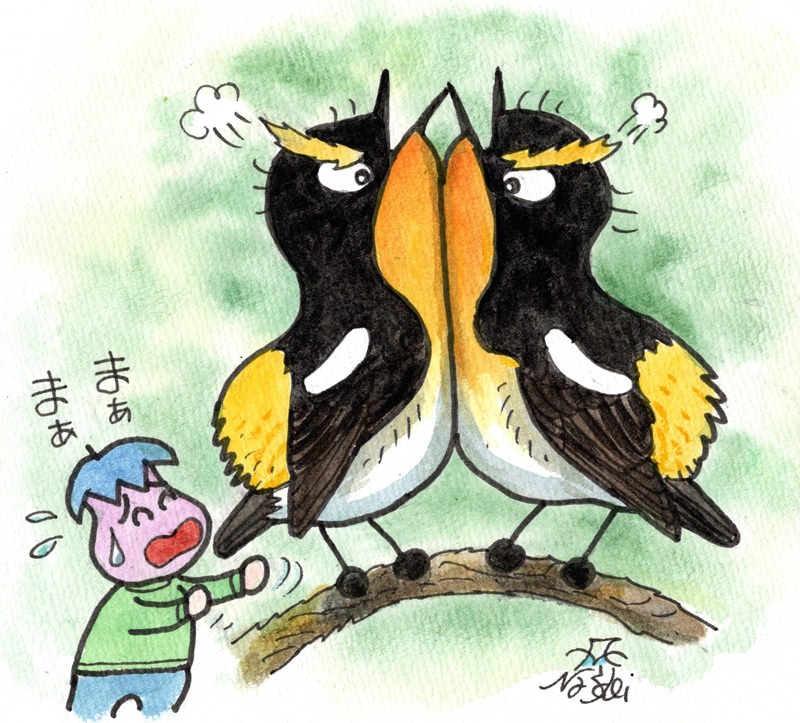 「昨日の狭山丘陵ではキビタキのオスがもめていた」|富士鷹なすびのイラスト