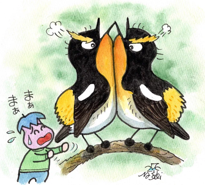 昨日の狭山丘陵ではキビタキのオスがもめていた