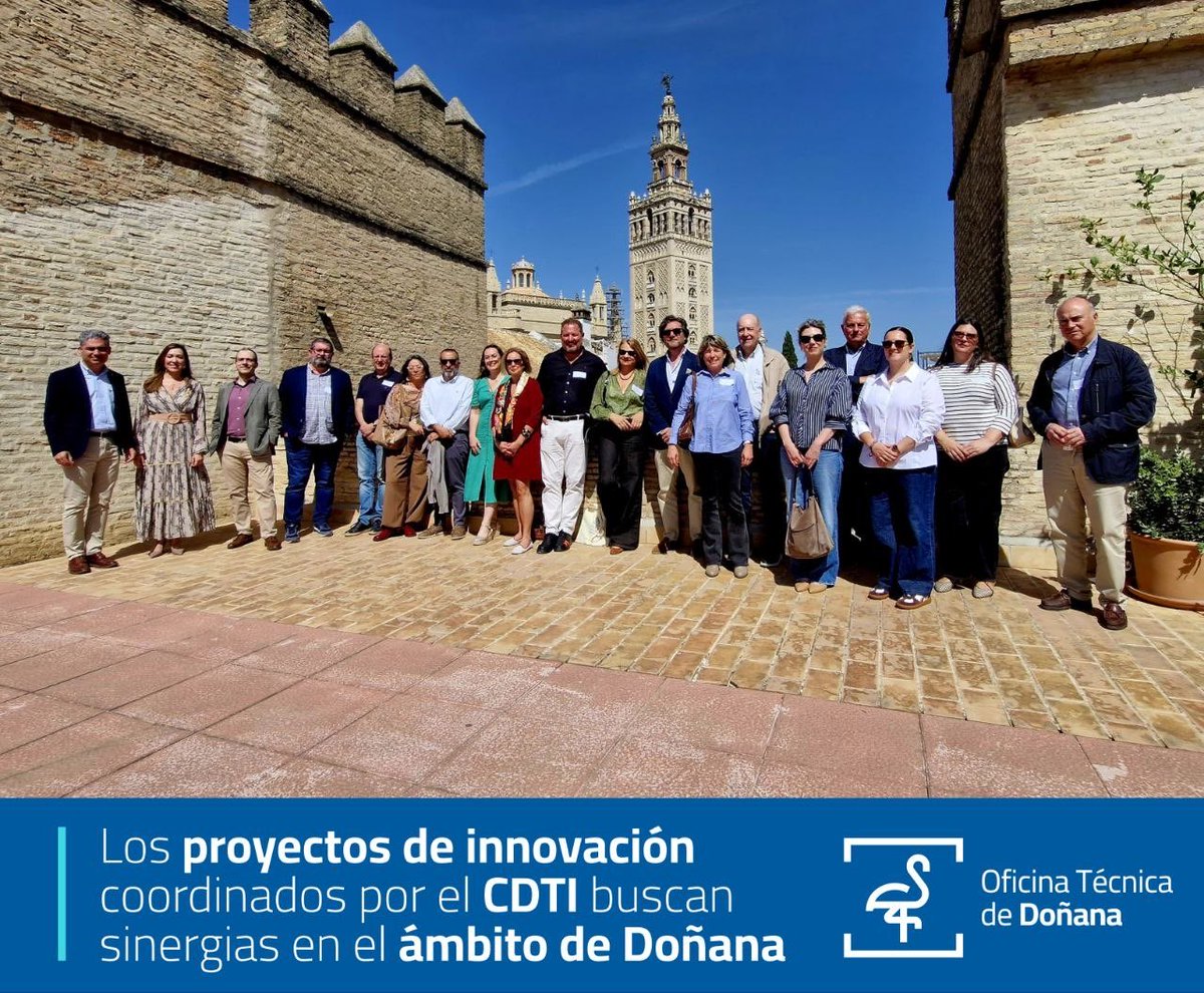 Oficina_Donana's tweet photo. 🎯 Puesta en común entre los 5 proyectos de innovación que coordina el @CDTI_innovacion y financia el @mitecogob gracias al Marco para #Doñana

➡️ Aplicar i+d+i

➡️ Buscar sinergias

➡️ Desarrollo económico sostenible

💶 Esta convocatoria destina 3,6 M€ a tales proyectos https://t.co/TappS96QpO