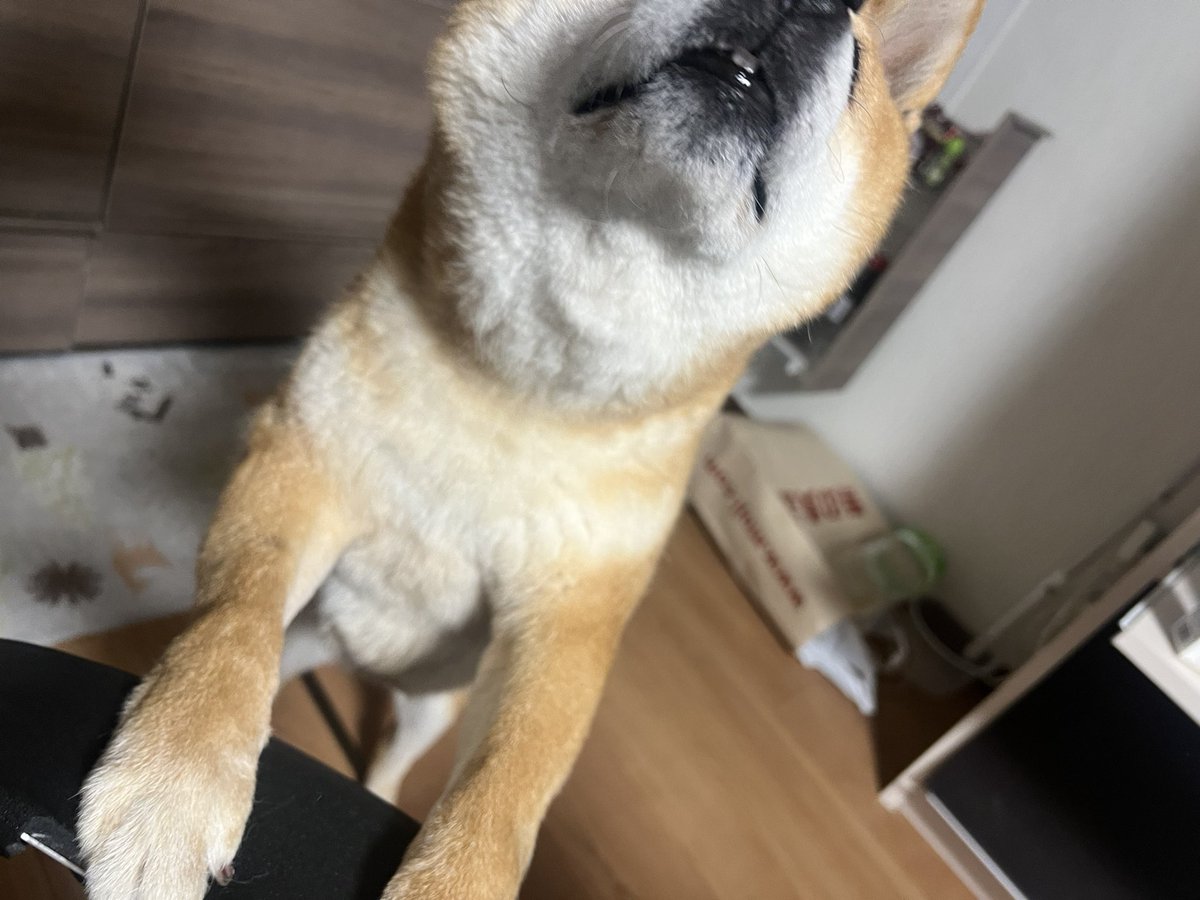 ねるど tweet media